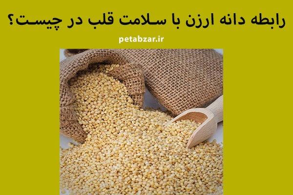 فروش بهترین ارزن : ارزن، یک منبع سرشار از منیزیم می باشد