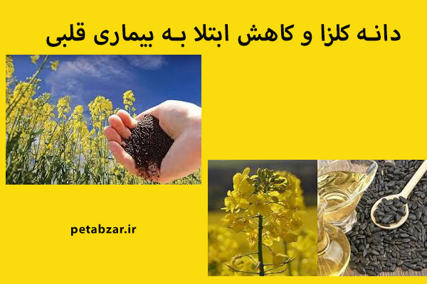 فواید روغن کلزا : ویتامین E در آن 50 درصد بیشتر است .