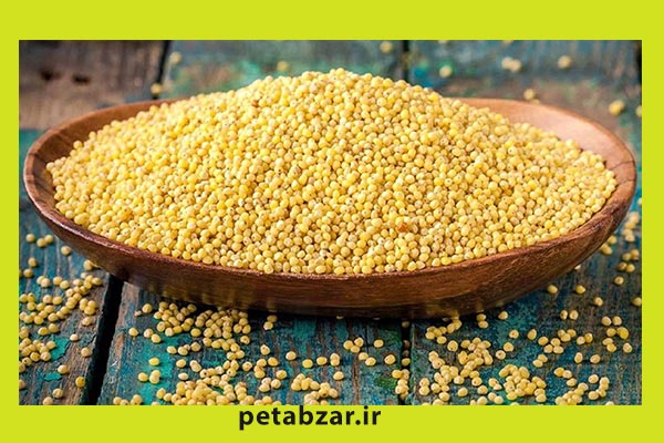 خواص ارزن برای بدن