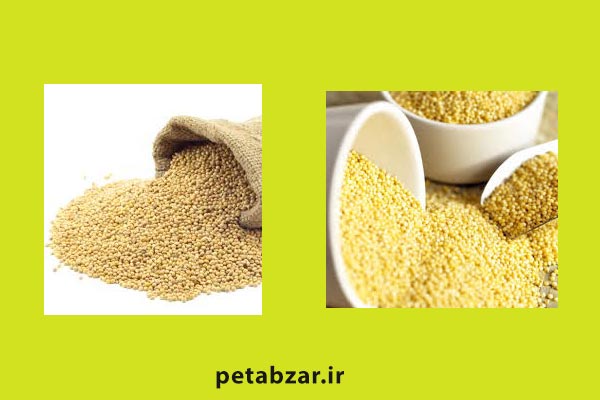 مصرف ارزن برای پرندگان