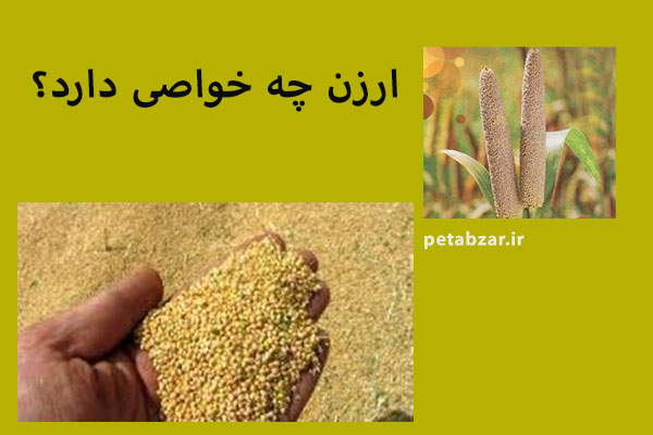 فروش بهترین ارزن : کاهش ریسک ابتلا به بیماری هایی همچون دیابت و کلسترول می شود.